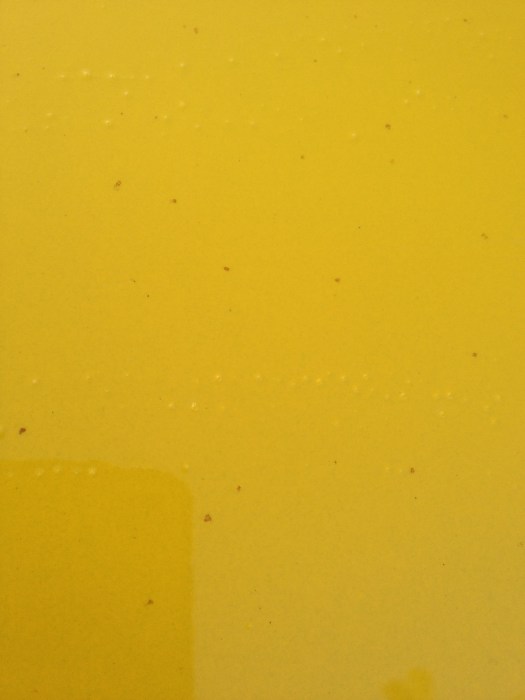 Daily-Datsun-summer-berry-juice