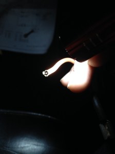 Daily Datsun - fusible link